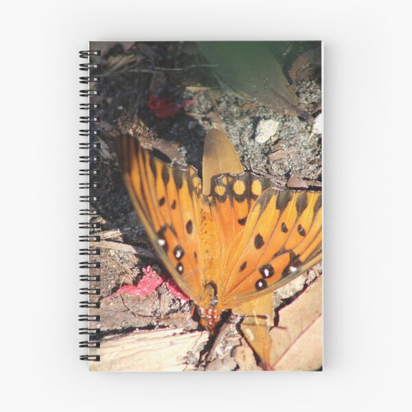 Item preview, butterfly wings and flings designed and sold by Outdoor-wonders.