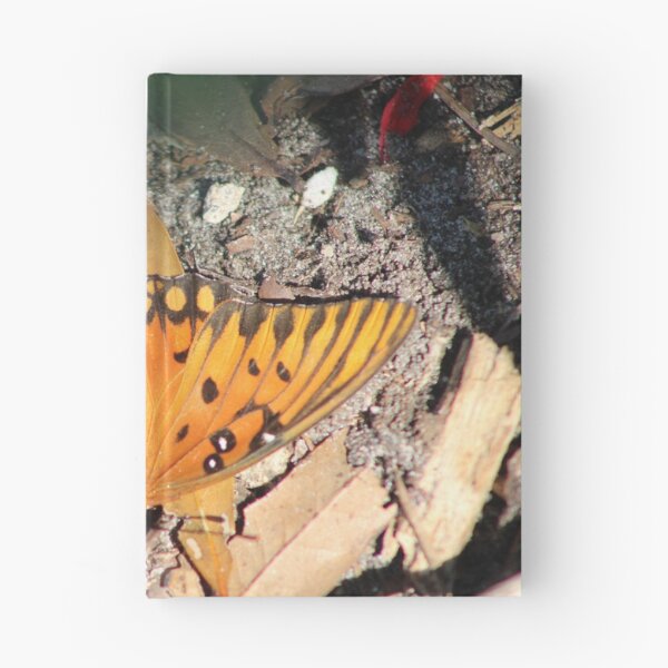 Item preview, butterfly wings and flings designed and sold by Outdoor-wonders.