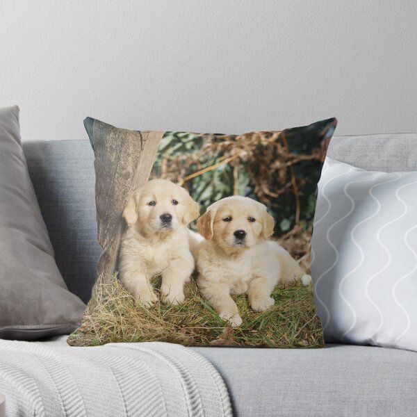 Item preview, Golden Retriever Puppies designed and sold by ScienceSource.