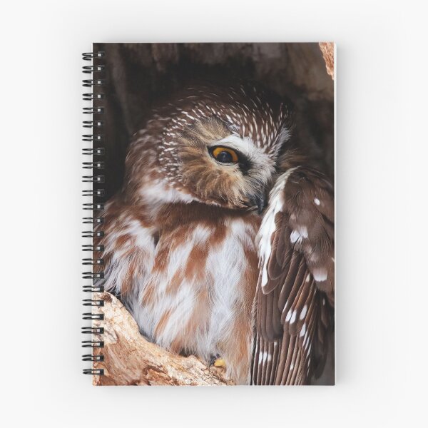 Item preview, Northern Saw Whet Owl designed and sold by Alyce Taylor.
