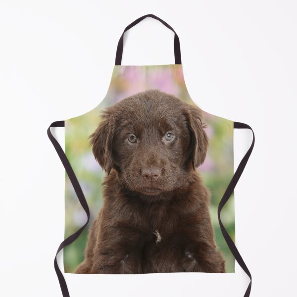Item preview, Chocolate Labrador Retriever Puppy designed and sold by ScienceSource.