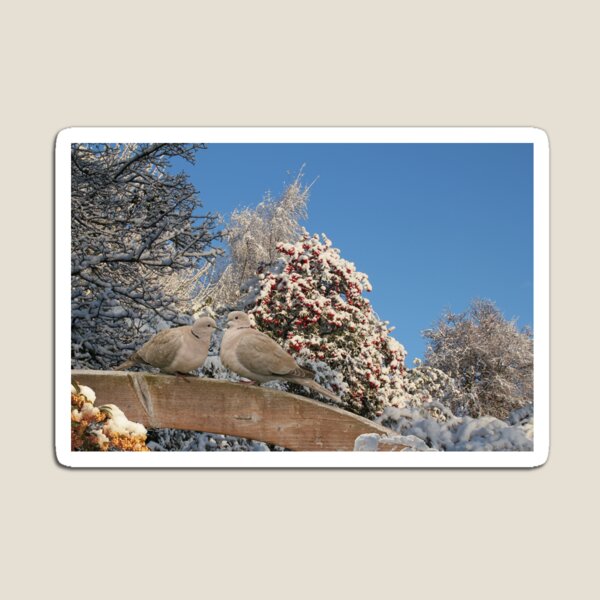 Item preview, Collared Doves  designed and sold by sandysshoots.