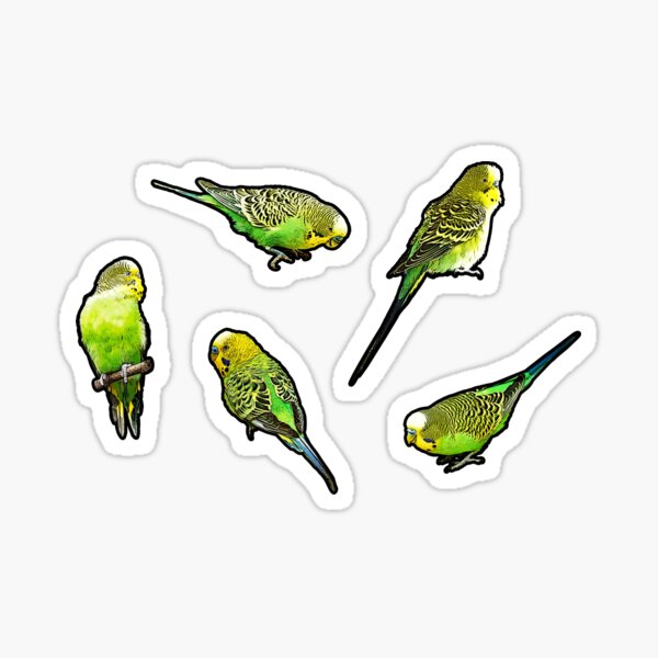 Item preview, Budgie Group designed and sold by Alienphysique.
