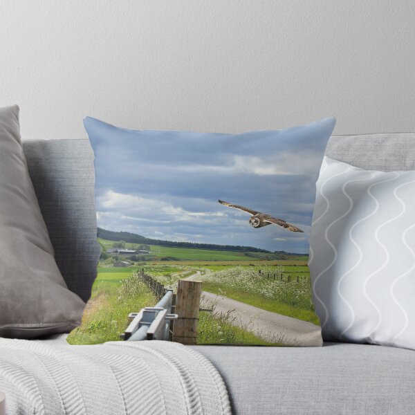 Item preview, Short eared Owl, Black Isle, Scotland designed and sold by sandysshoots.