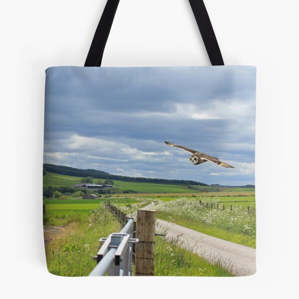 Item preview, Short eared Owl, Black Isle, Scotland designed and sold by sandysshoots.