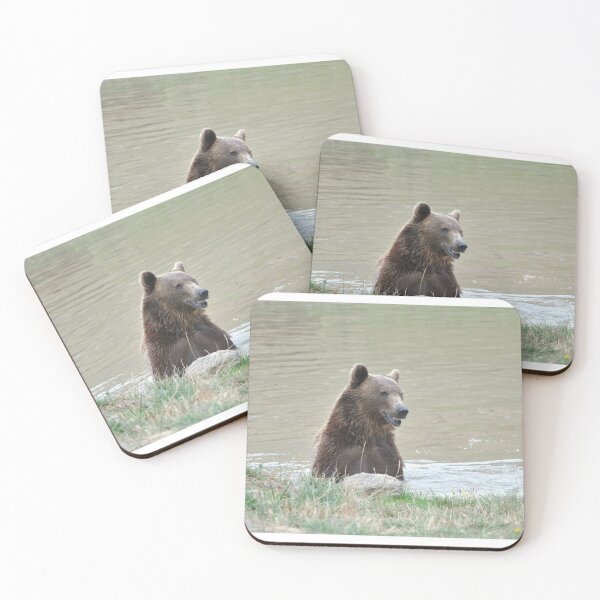 Artikelvorschau, Brown Bear entworfen und verkauft von Tamara McDonnell.