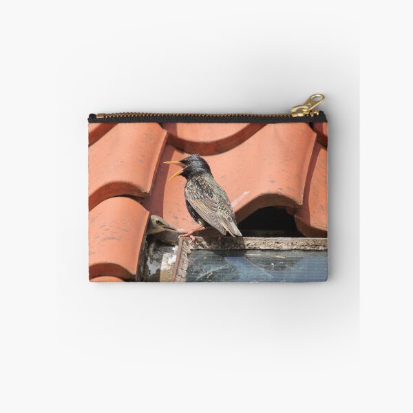 Artikelvorschau, Star bei Nest entworfen und verkauft von sandysshoots.