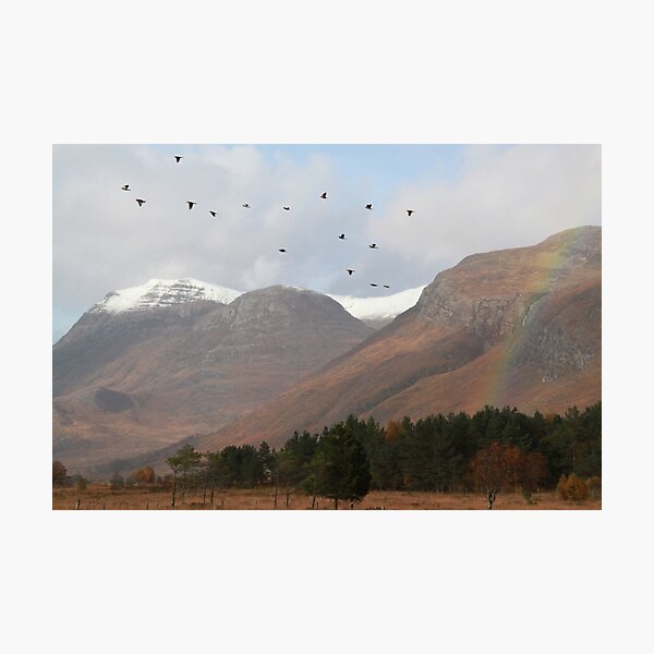 Item preview, Slioch Redwings and Fieldfares designed and sold by sandysshoots.