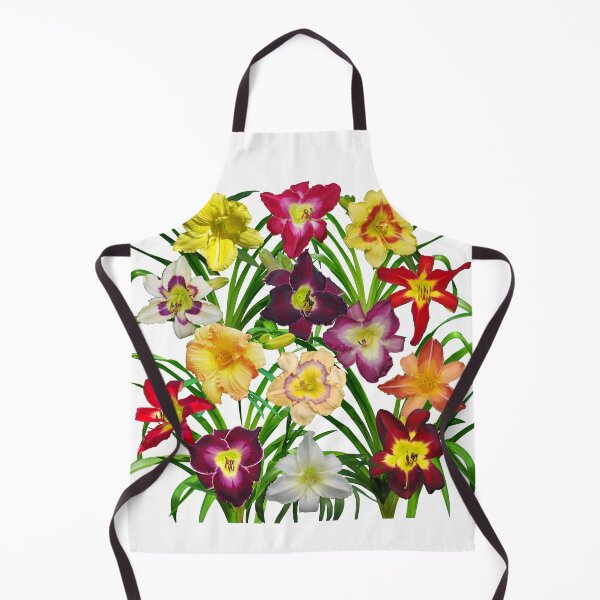 Item preview, Display of Daylilies I - on white designed and sold by rvjames.