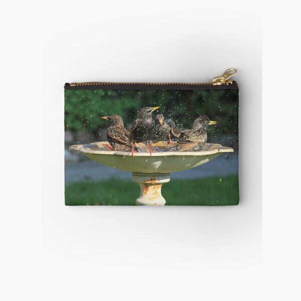 Item preview, Starling Bath designed and sold by sandysshoots.