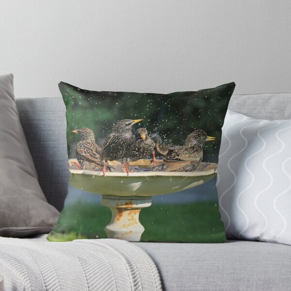 Item preview, Starling Bath designed and sold by sandysshoots.