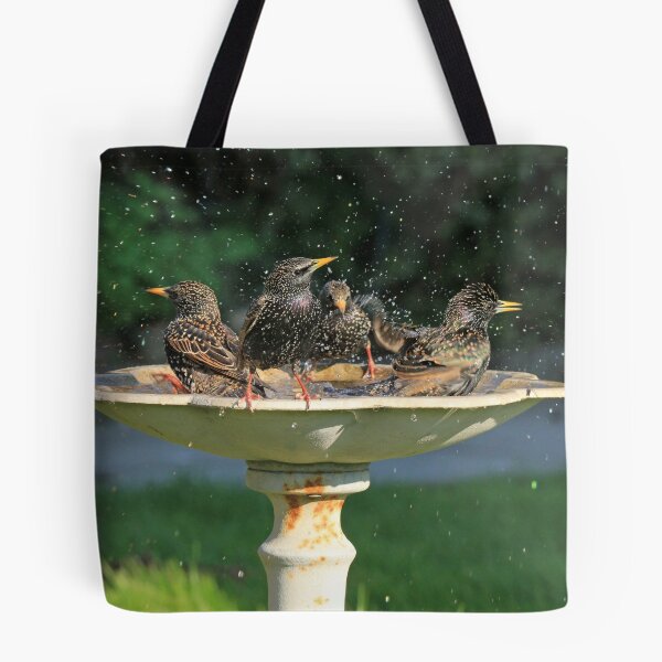 Item preview, Starling Bath designed and sold by sandysshoots.