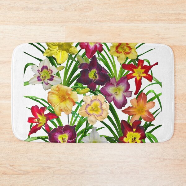 Item preview, Display of Daylilies I - on white designed and sold by rvjames.