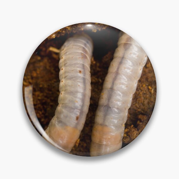Item preview, sli grubs designed and sold by pcfyi.
