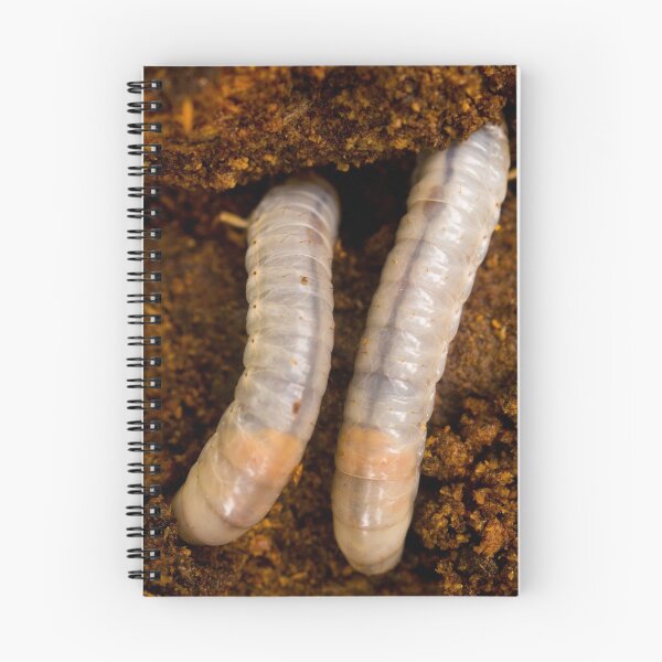 Item preview, sli grubs designed and sold by pcfyi.