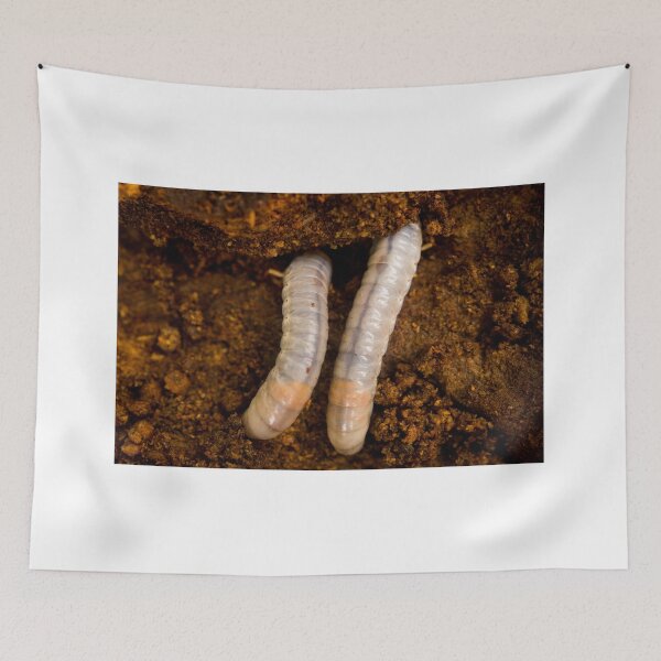 Item preview, sli grubs designed and sold by pcfyi.