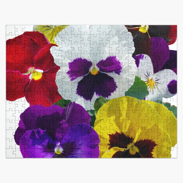 Pansies! Jigsaw Puzzle