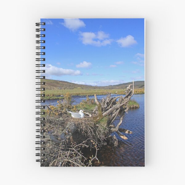 Item preview, Common Gull designed and sold by sandysshoots.