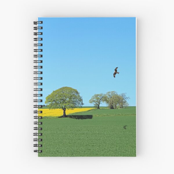 Item preview, Red Kite designed and sold by sandysshoots.