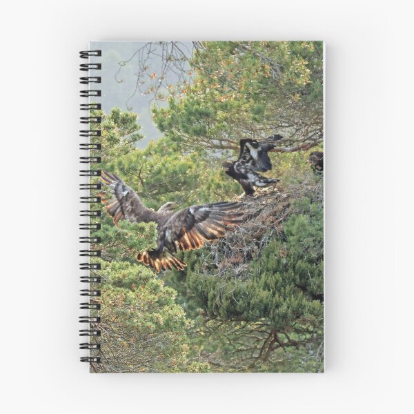 Item preview, Golden Eagle designed and sold by sandysshoots.