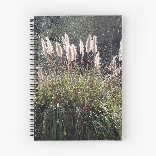 Item preview, Pampas Grass By the San Diego River  designed and sold by heatherfriedman.