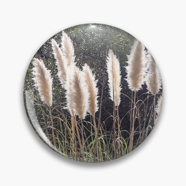 Item preview, Pampas Grass By the San Diego River  designed and sold by heatherfriedman.