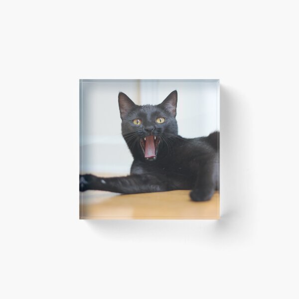 Item preview, Luna Yawns designed and sold by Autumn Seas Photography.