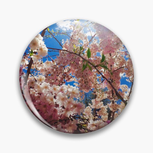 Item preview, Cherry Blossom Photograph designed and sold by in2thewild.