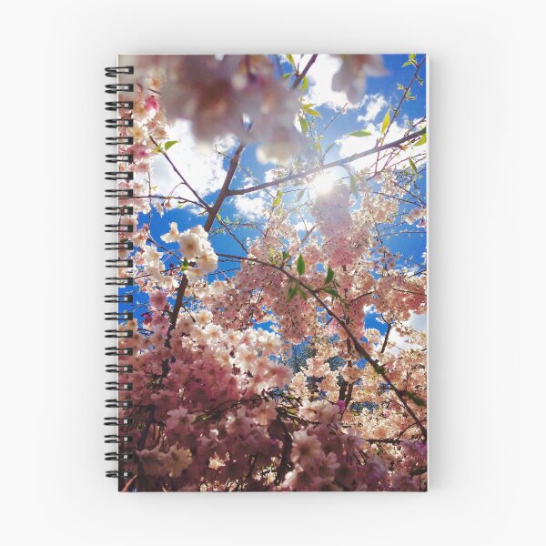 Item preview, Cherry Blossom Photograph designed and sold by in2thewild.