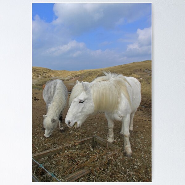 Item preview, Luskentyre, South Harris designed and sold by sandysshoots.