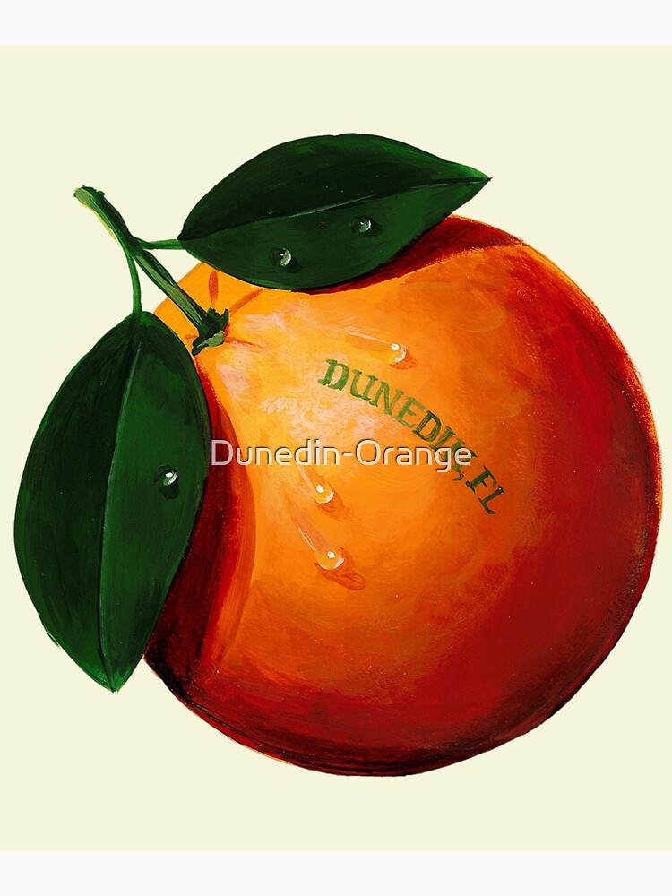 Florida Orange Blossom Art Print