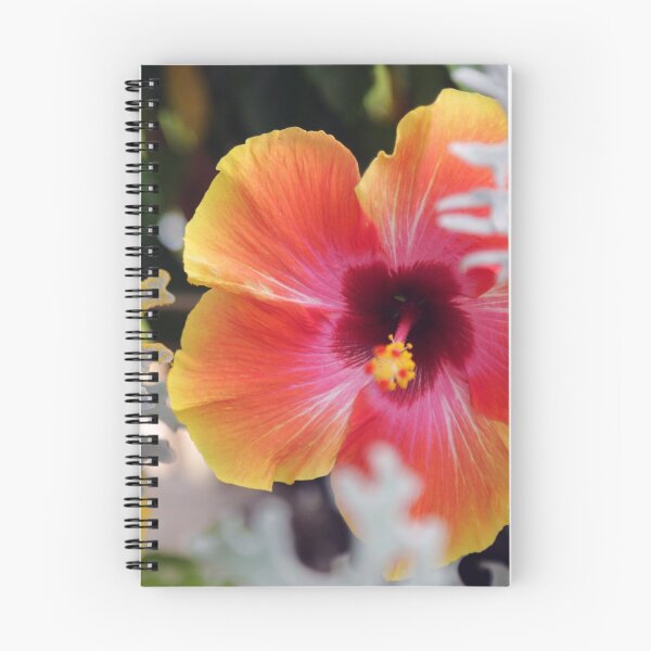 Item preview, Hibiscus and Dusty Miller designed and sold by StampCity.