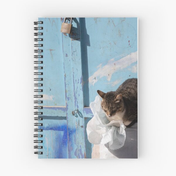 Item preview, Cat on a Bag designed and sold by Marylou Badeaux.