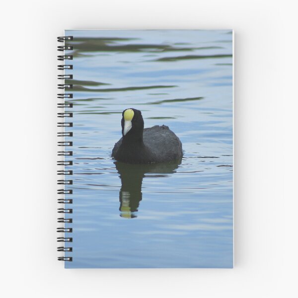Item preview, Andean Coot designed and sold by rhamm.