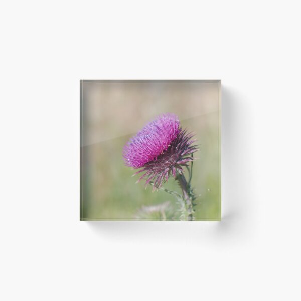 Item preview, Thistle designed and sold by notjustamwac.