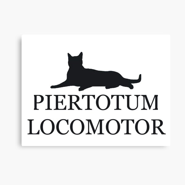 Piertotum Locomotor Canvas Print