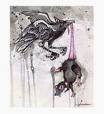 ink & paper 4 Photographic Print