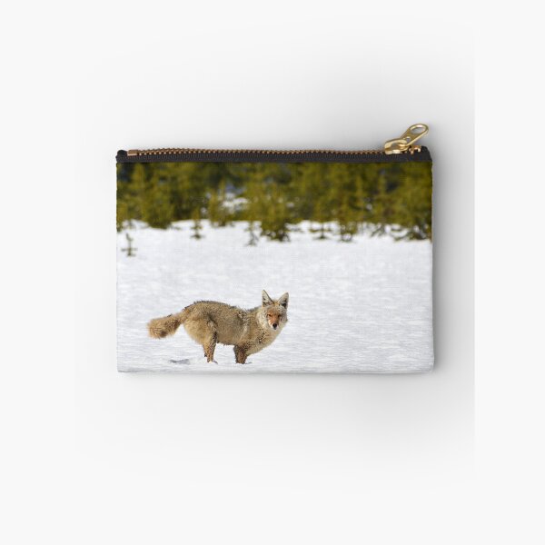 Item preview, Coyote in Snow with Trees, Wild Coyote, Animal in Snow, Snow in Yellowstone, Animal in Yellowstone designed and sold by naturecdesigns.