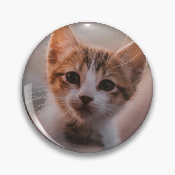 Item preview, My new Chiquito cat! designed and sold by MarianDiaz.