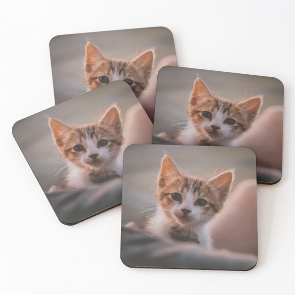 Item preview, My new Chiquito cat! designed and sold by MarianDiaz.