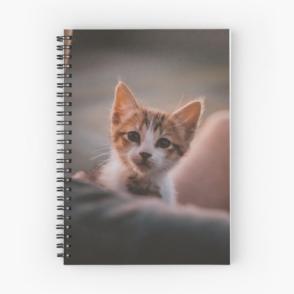 Item preview, My new Chiquito cat! designed and sold by MarianDiaz.