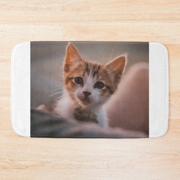Item preview, My new Chiquito cat! designed and sold by MarianDiaz.