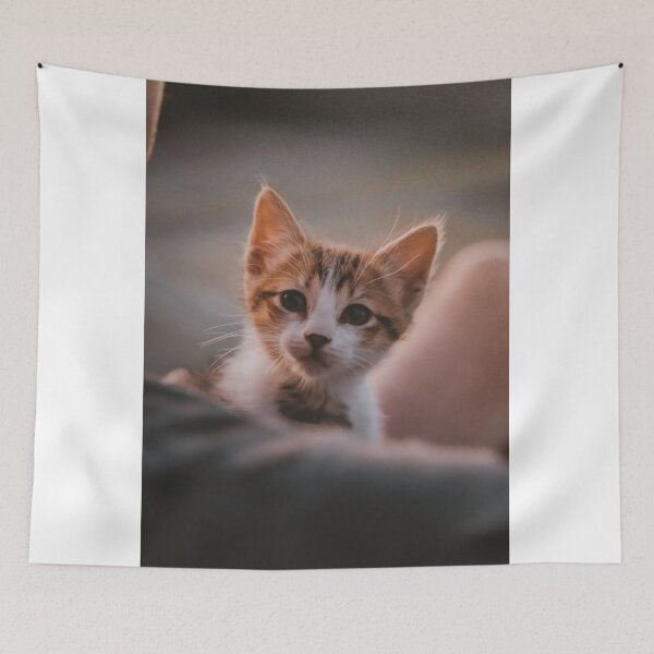 Item preview, My new Chiquito cat! designed and sold by MarianDiaz.