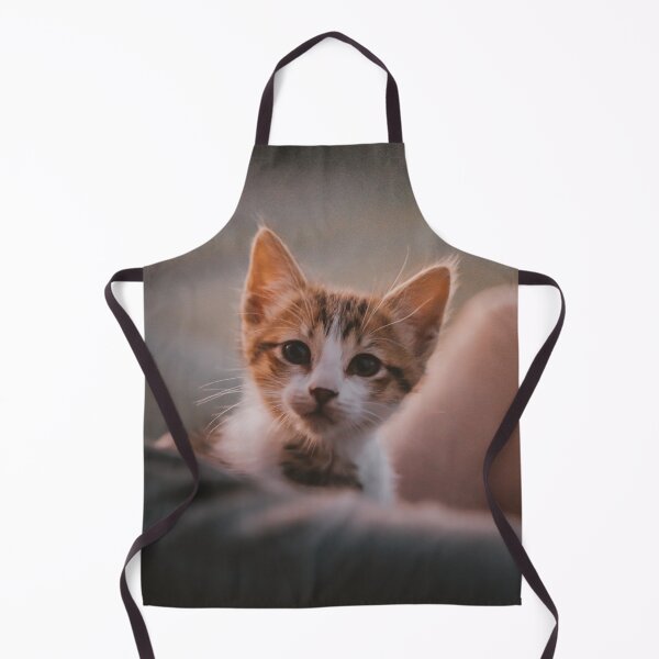 Item preview, My new Chiquito cat! designed and sold by MarianDiaz.