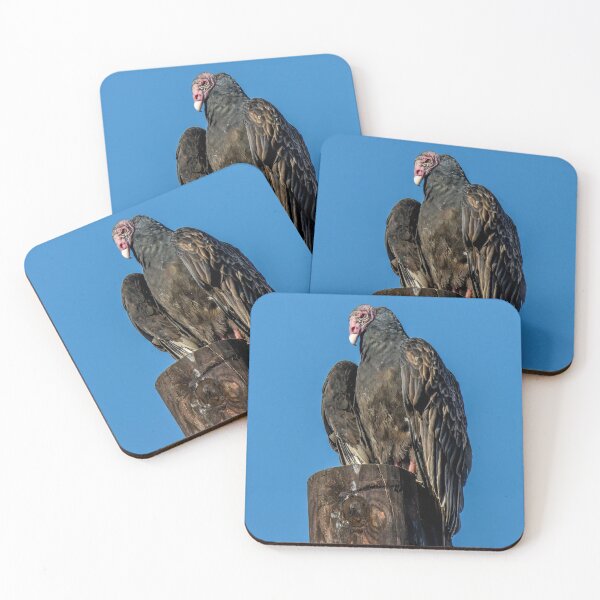 Item preview, Turkey Vulture designed and sold by May Finch.
