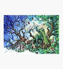Springtime Photographic Print