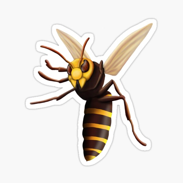 Giant Hornet Gifts and Merchandise for Sale Redbubble picture picture