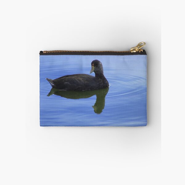Aperçu de l'œuvre Juvenile American Coot créée et vendue par rhamm.
