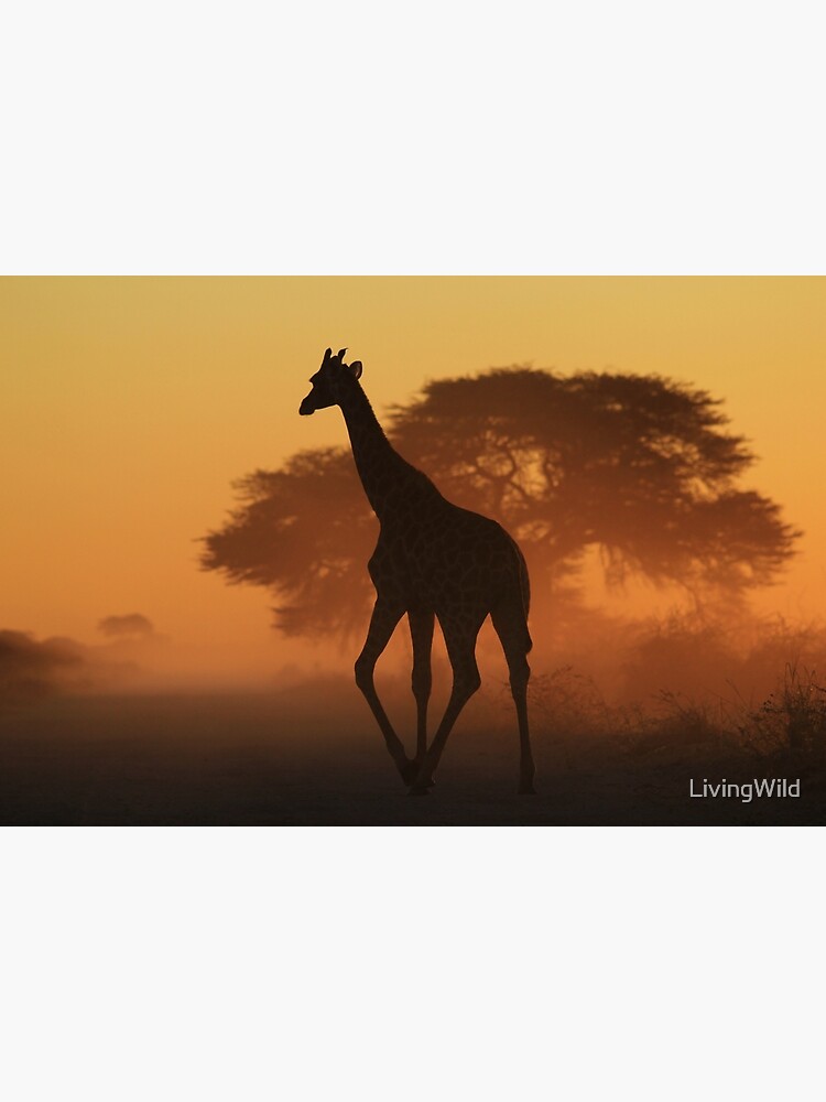 Giraffe - African Wildlife Background - Triangles in Nature by LivingWild