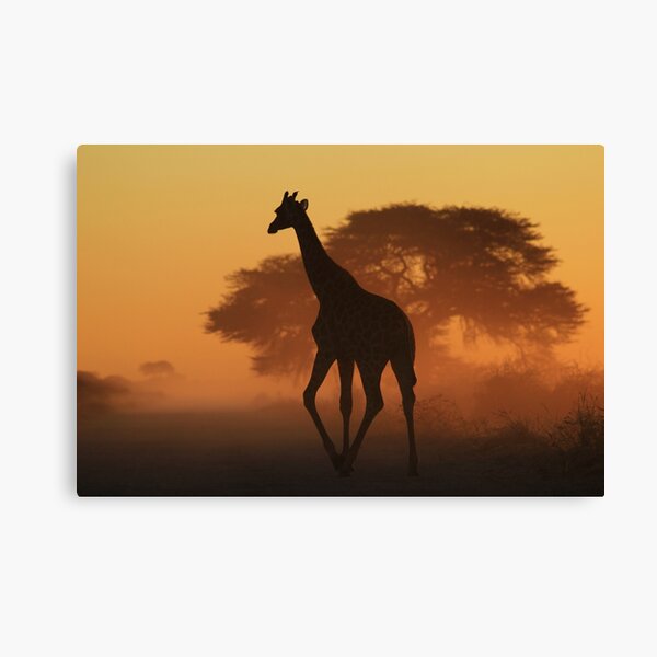 Giraffe - African Wildlife Background - Triangles in Nature Canvas Print